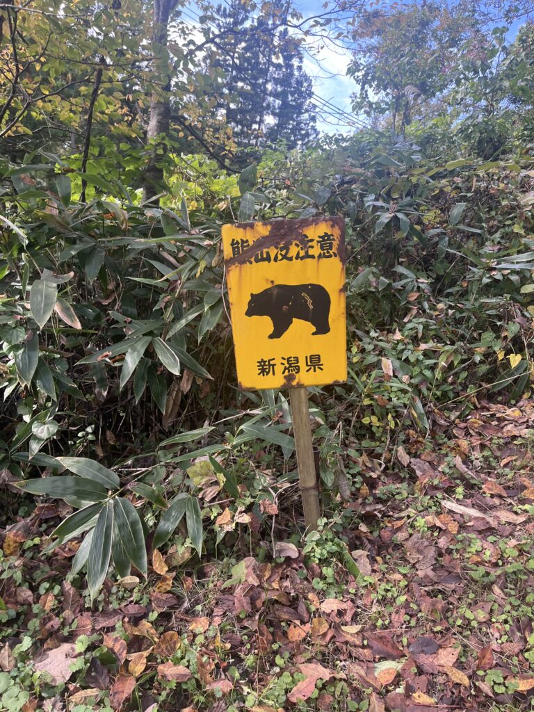 熊出没注意の看板