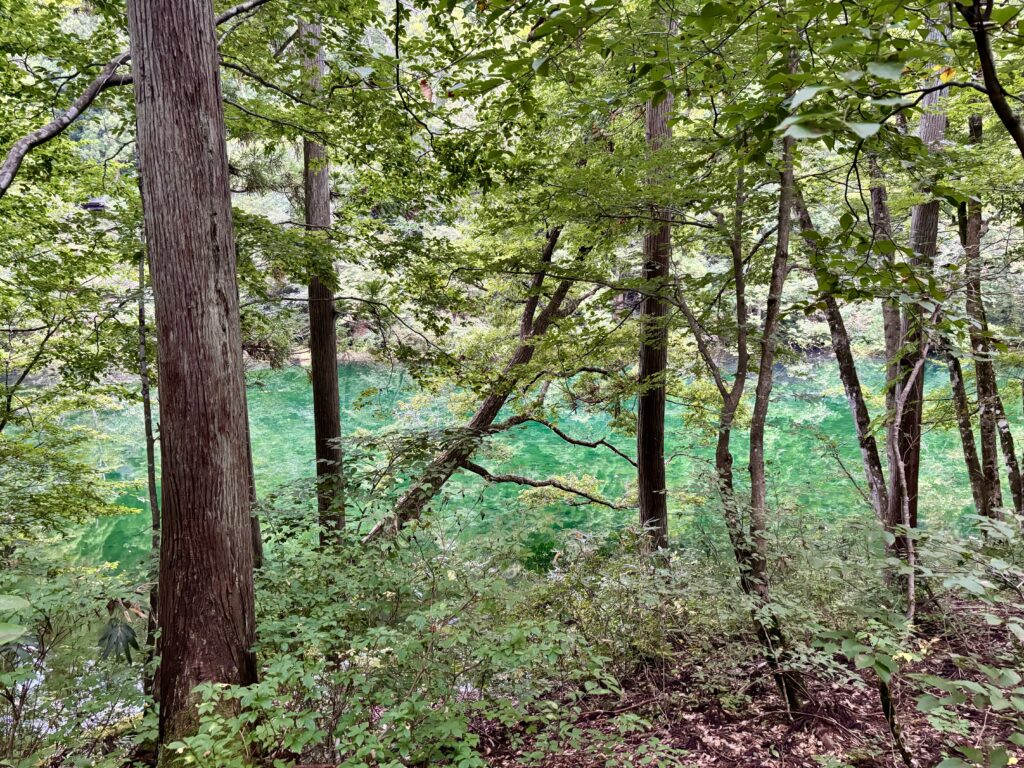 遊歩道からチラ見えする水鏡