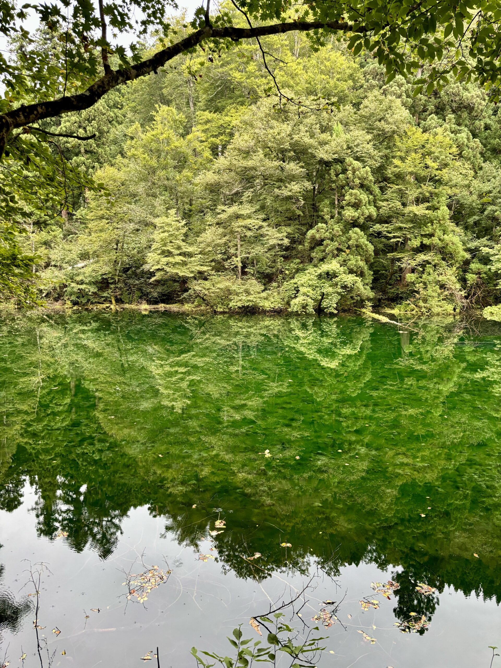 龍ヶ窪の池
津南町