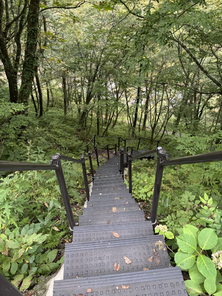 遊歩道の階段