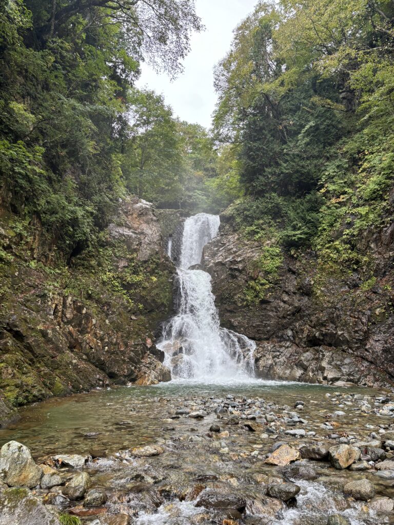 正面から見た白布大滝