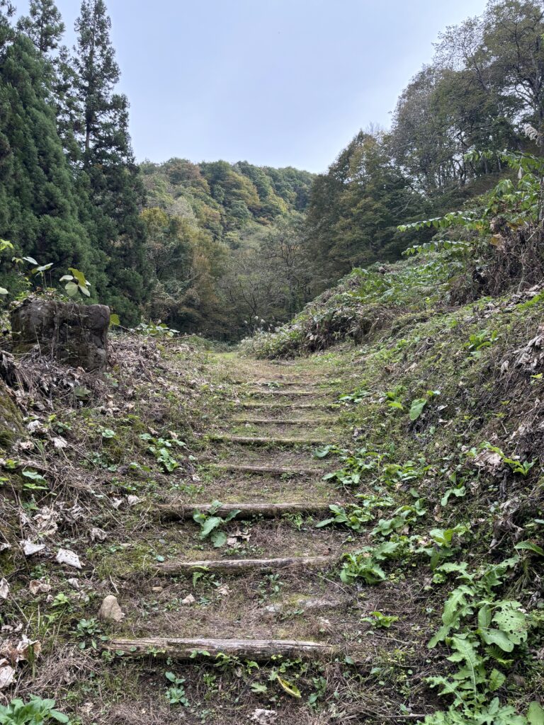 入口の木の階段