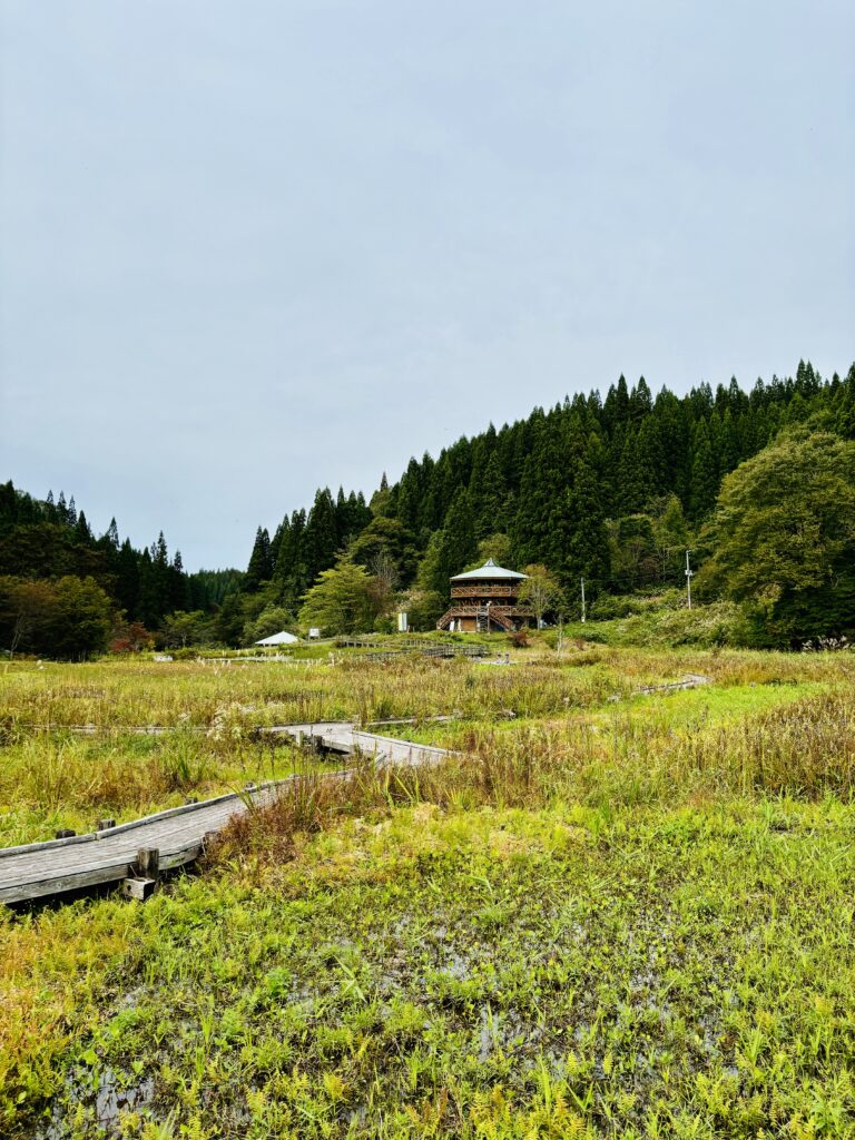 秋の風景1