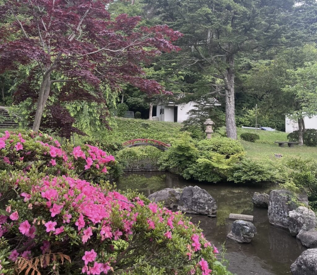 【村松公園】ハイキングや夕景スポットにおすすめ