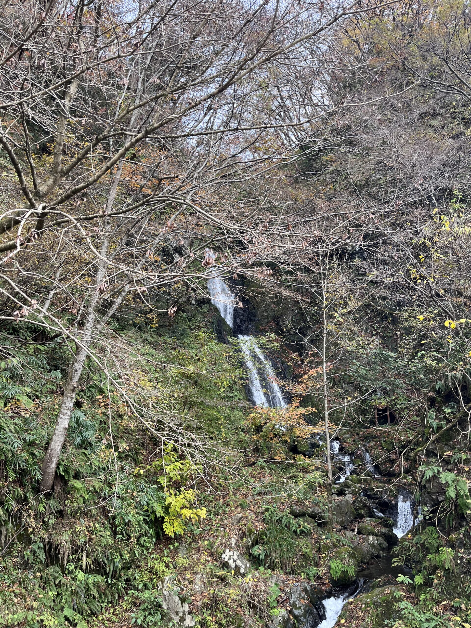 【夫婦滝】早出川ダム下流付近にある県道沿いの滝