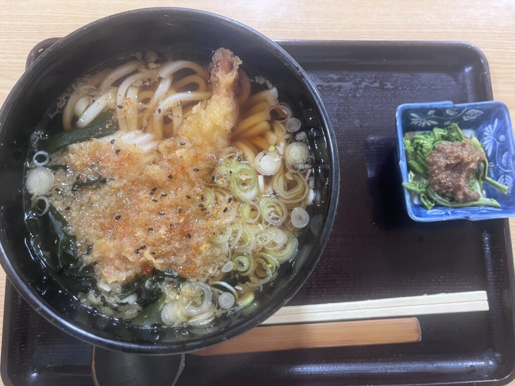 天ぷらうどん