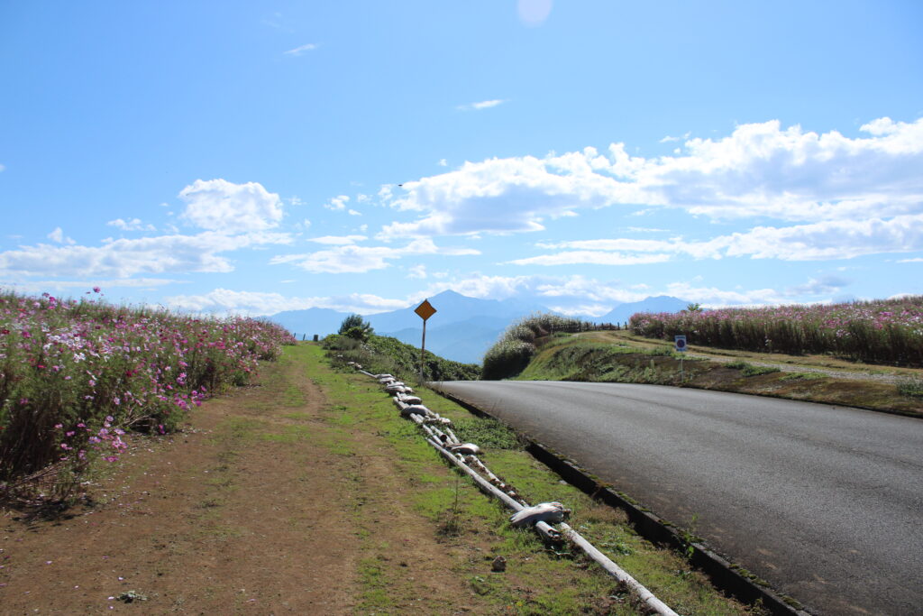 歩道2