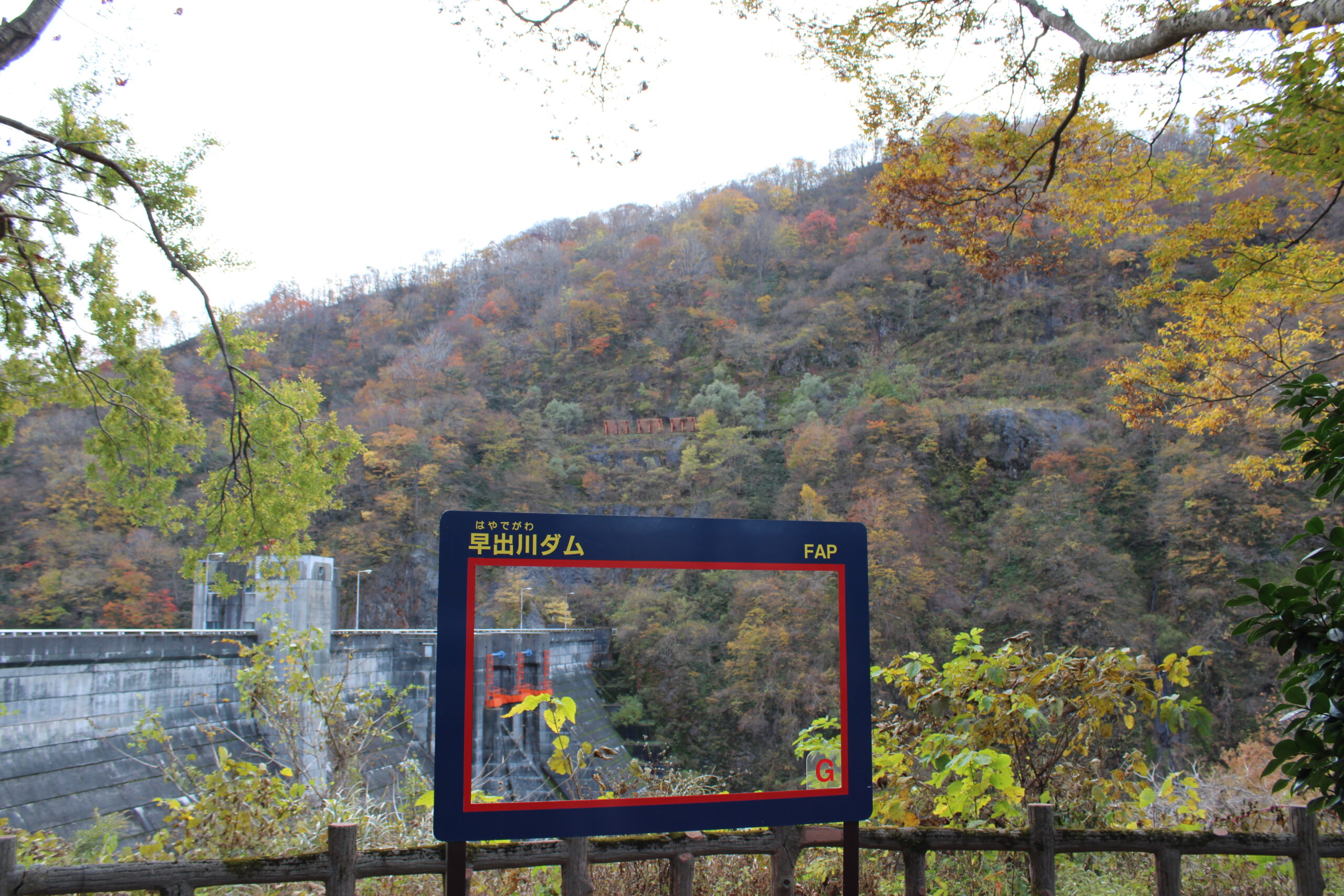 【早出川ダム】渓谷を彩る紅葉の絶景スポット