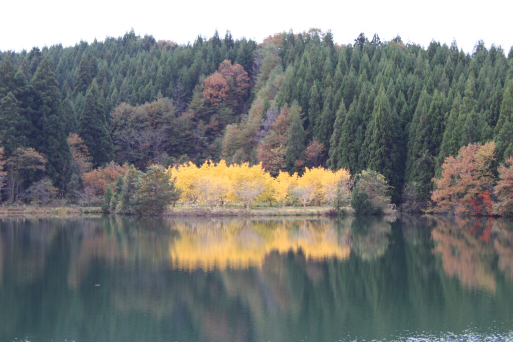 風景1