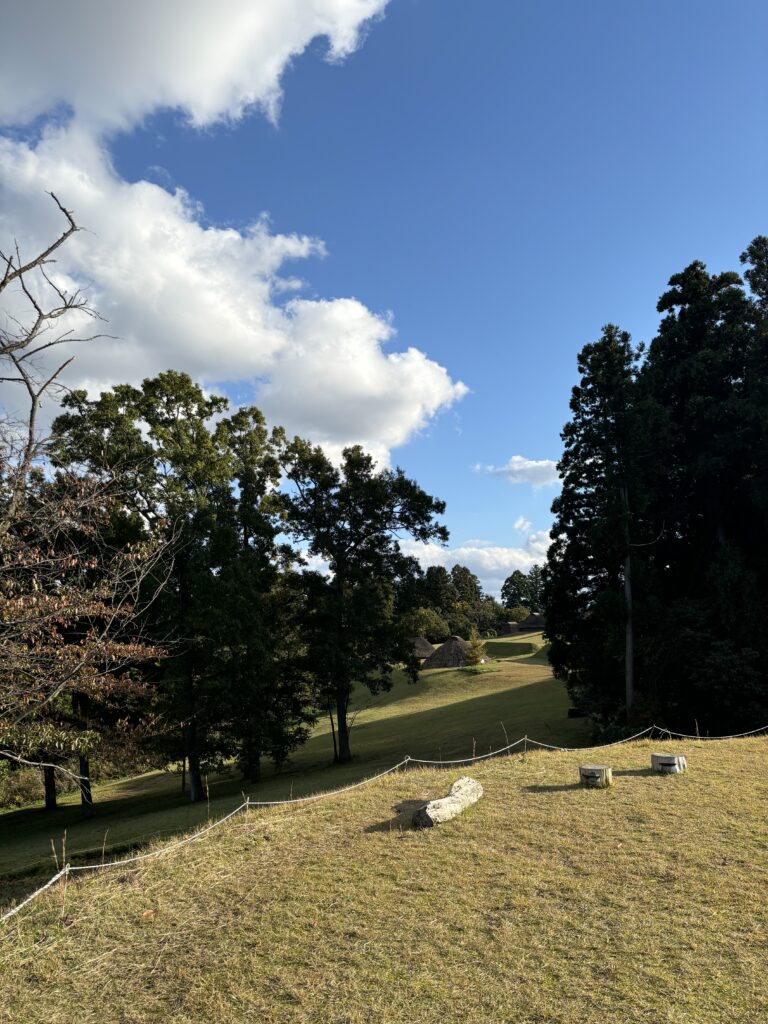 古墳の頂上から見える竪穴住居