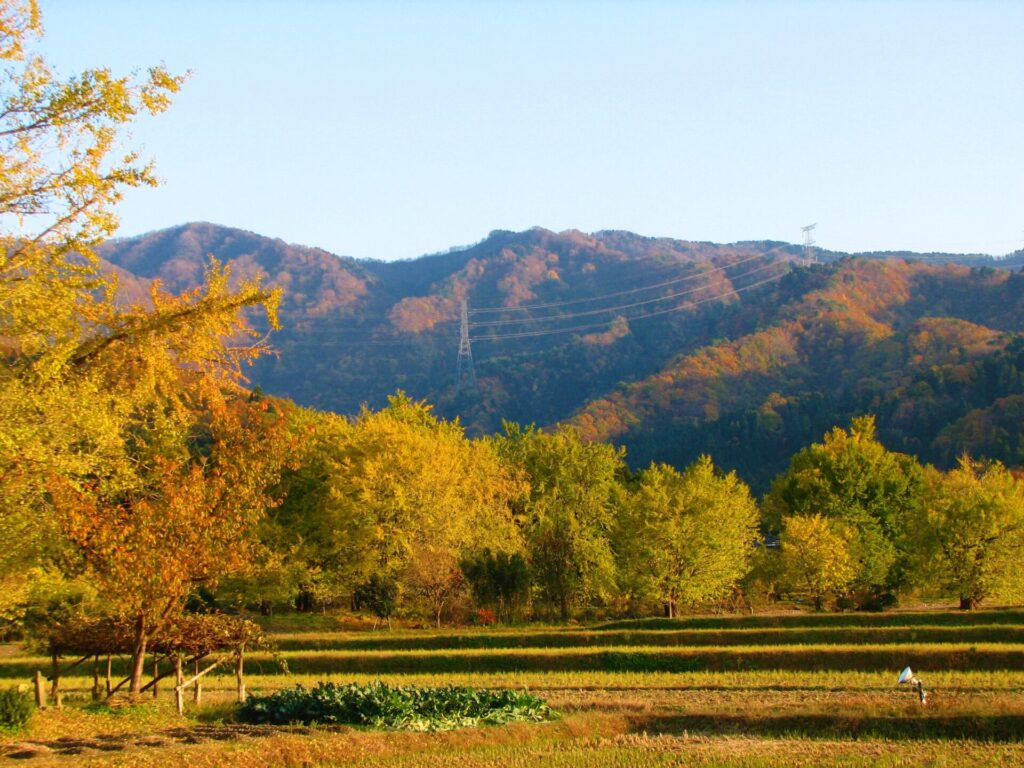 黄金の里の風景