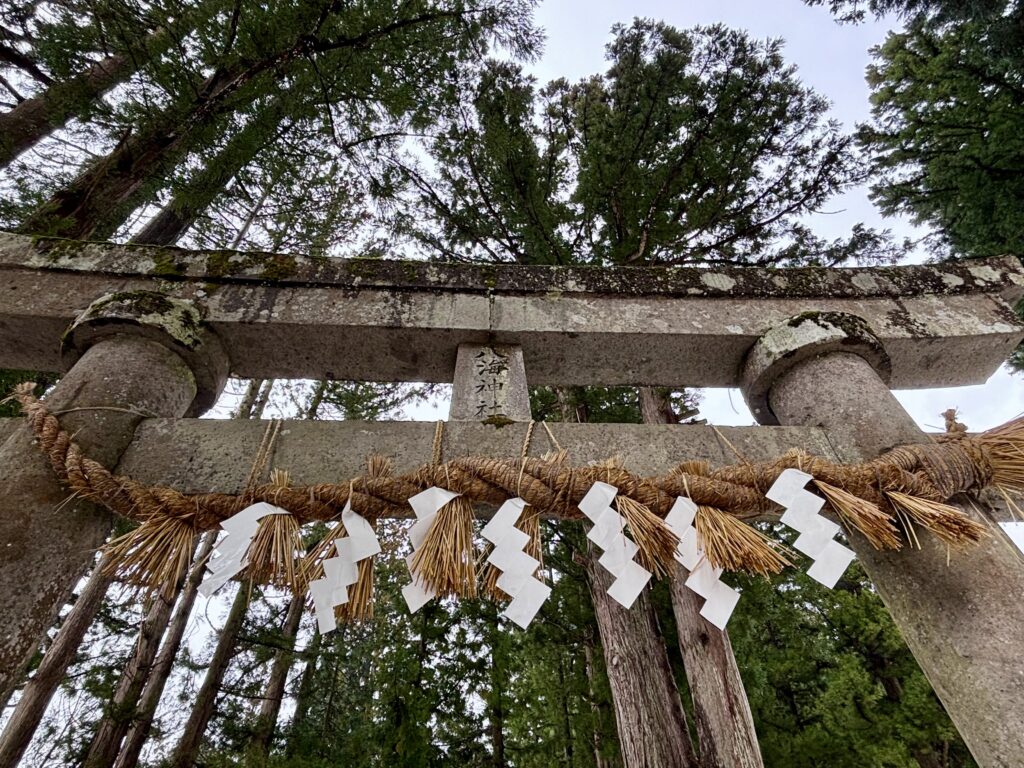【八海神社】県指定文化財天然記念物の杉並木の参道