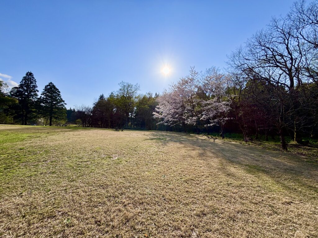 ふれあい広場１