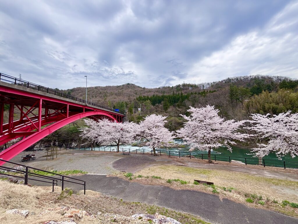 遠くから見た樽ヶ橋とソメイヨシノ