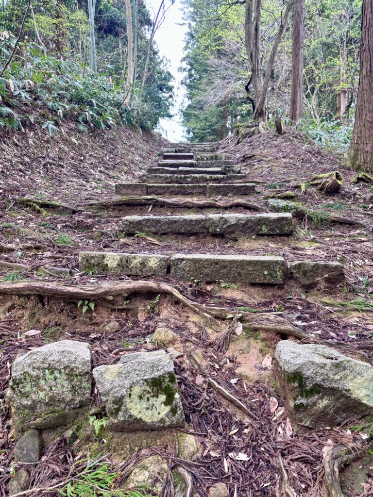 日吉神社までの道