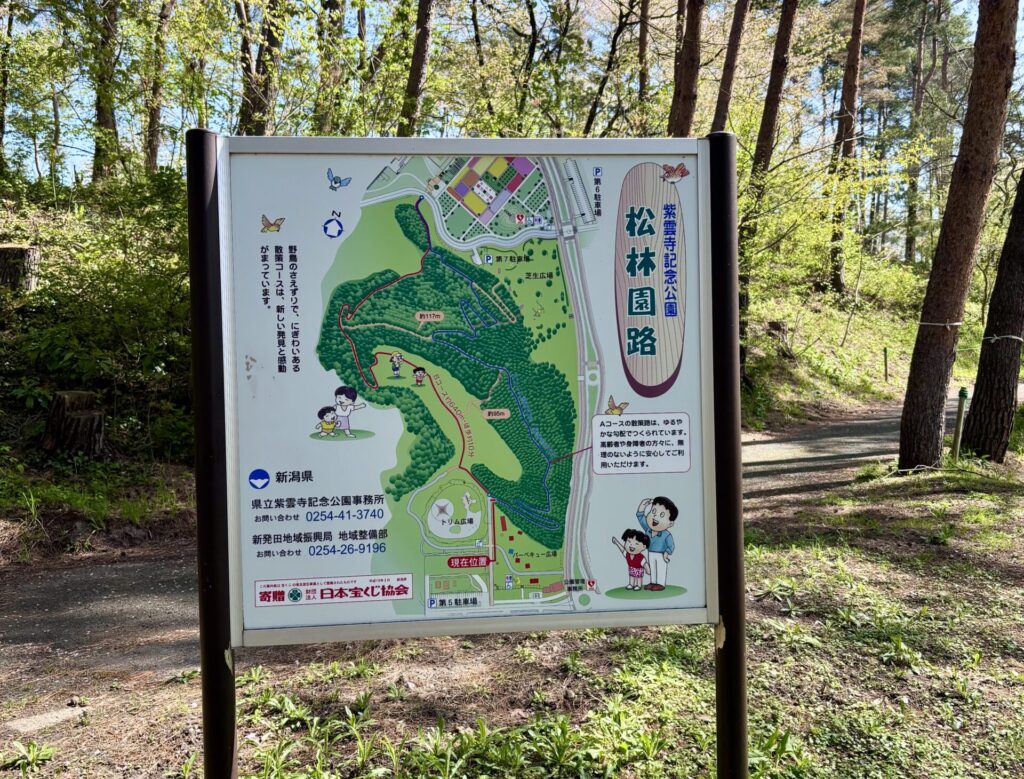 松林園路