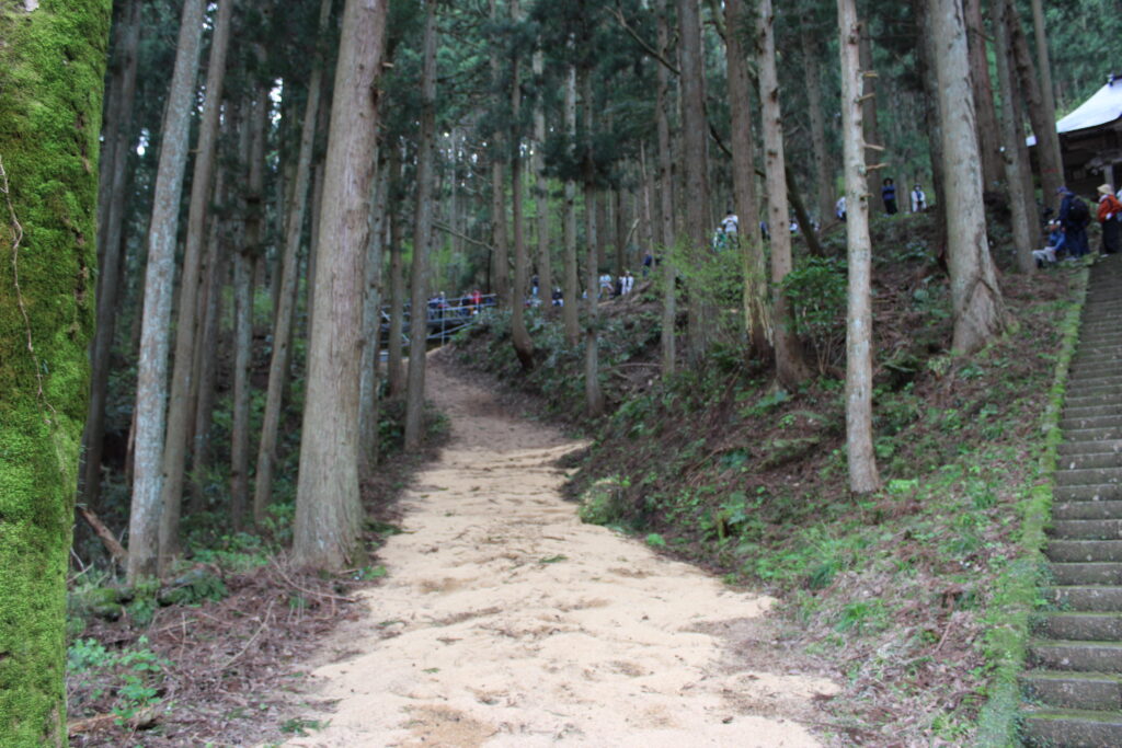 駆け上がる直線の坂