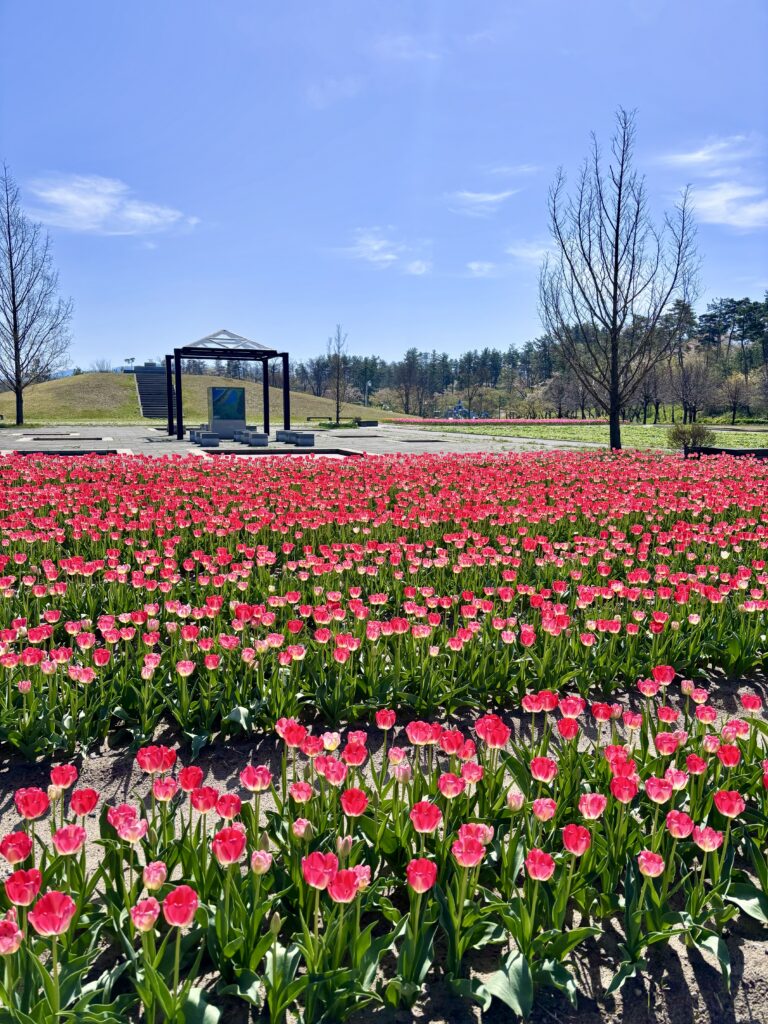 新発田市【新潟県立紫雲寺記念公園】