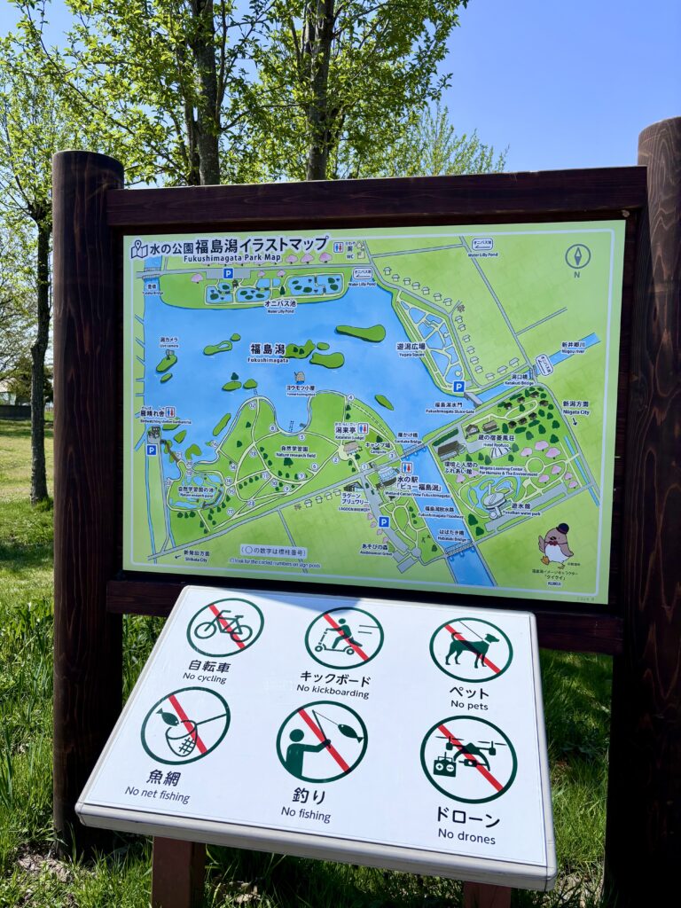 水の公園福島潟イラストマップ