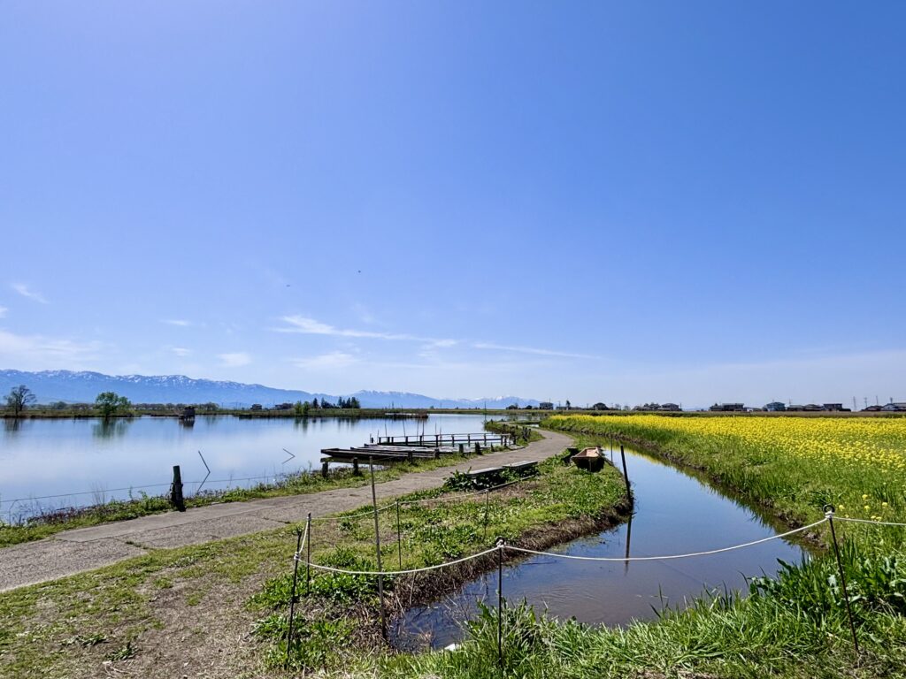 湖沼2