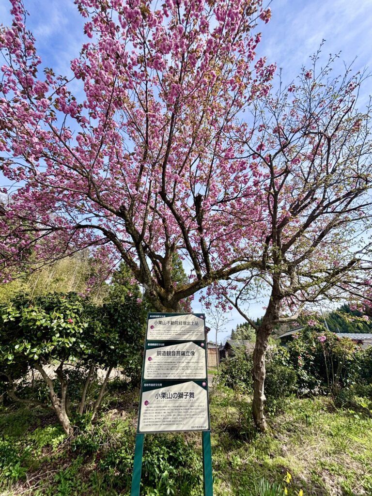 指定文化財の説明看板