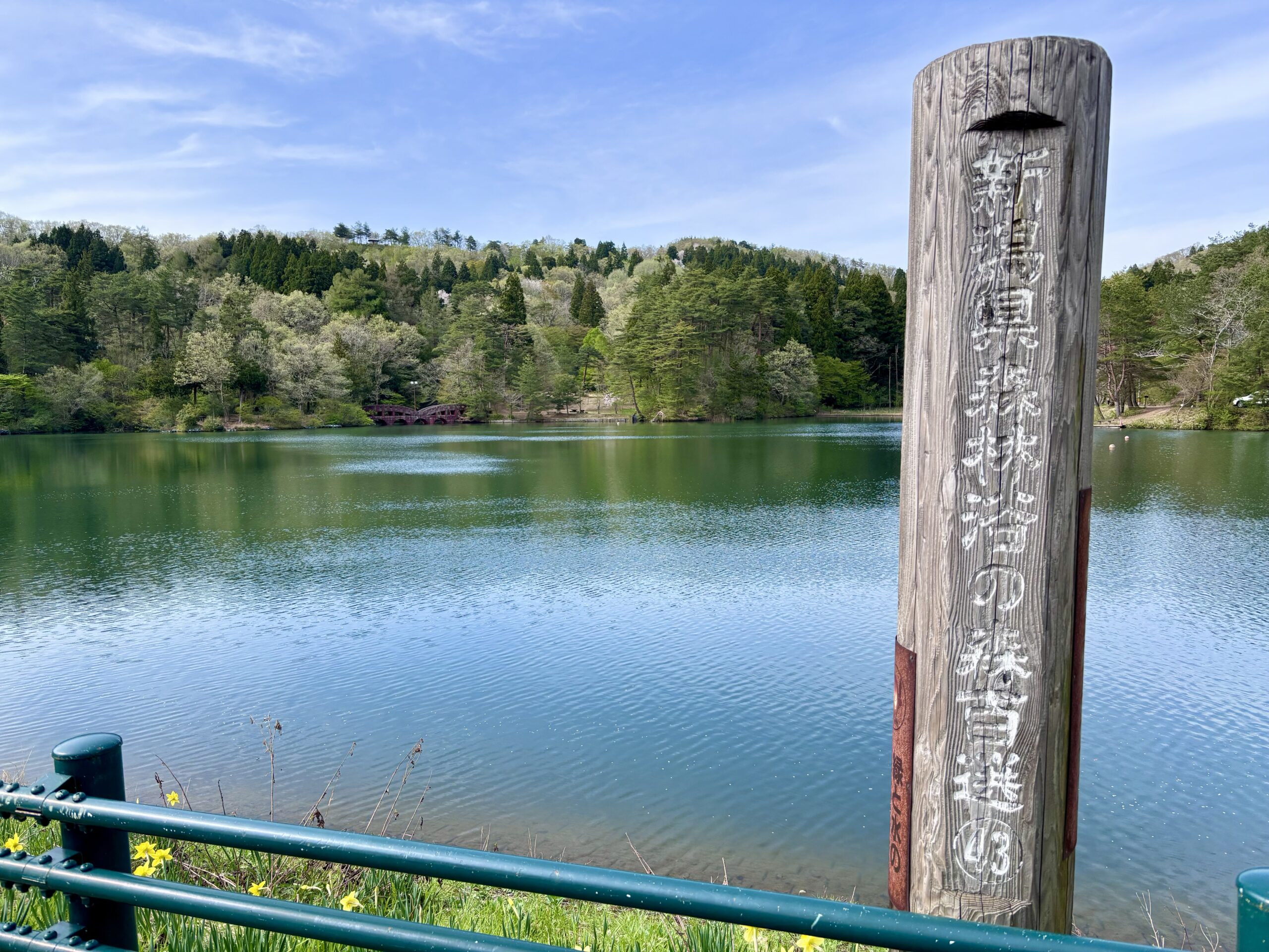 【大平森林公園】アウトドア好きにおすすめ｜のどかな公園