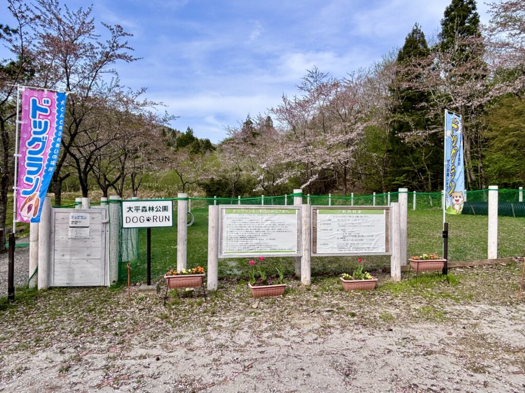 ドッグラン
