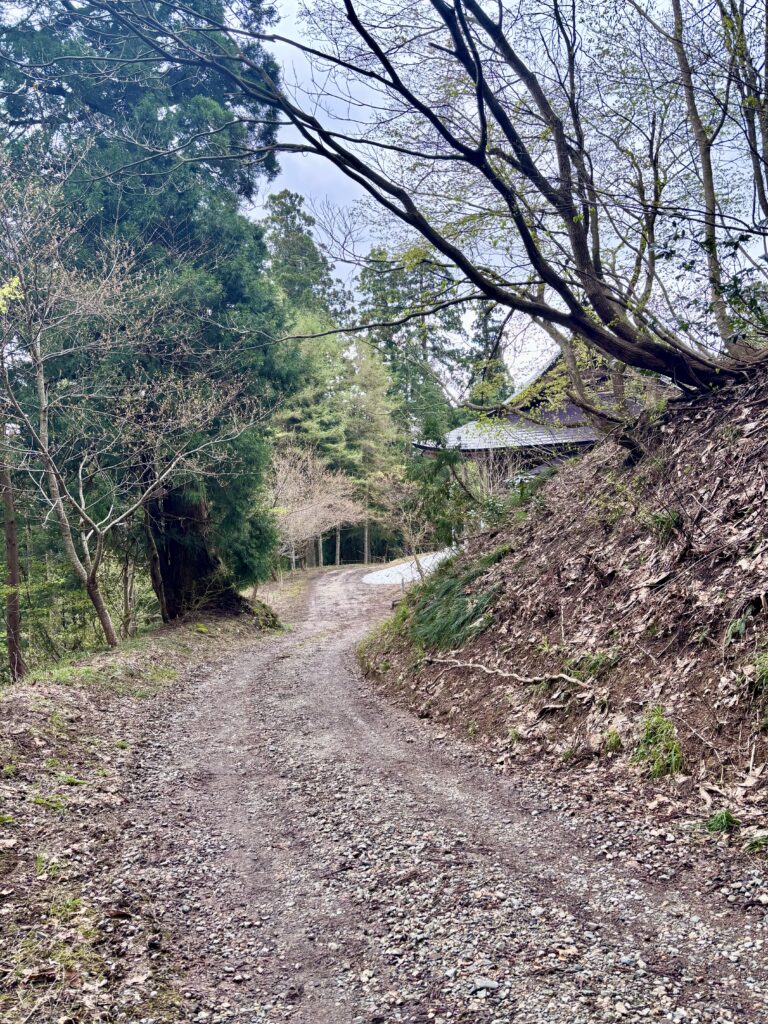 参拝路