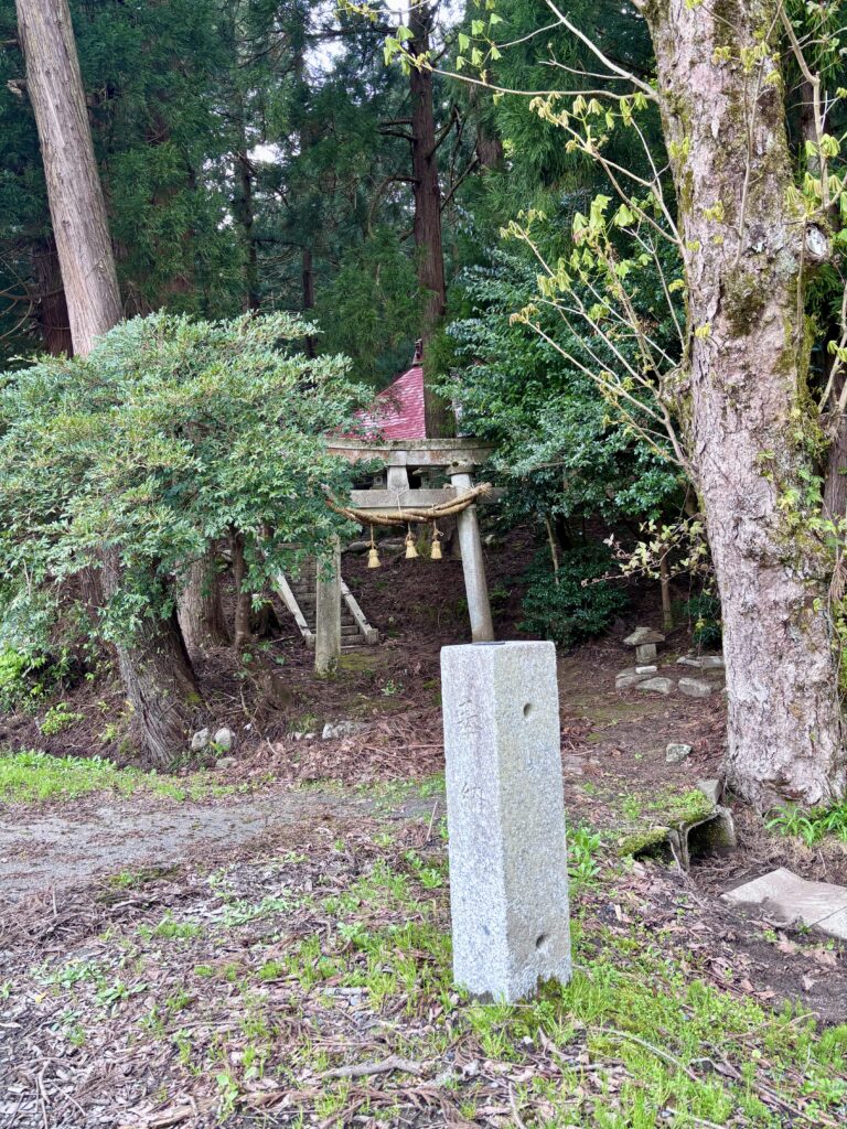 入口
