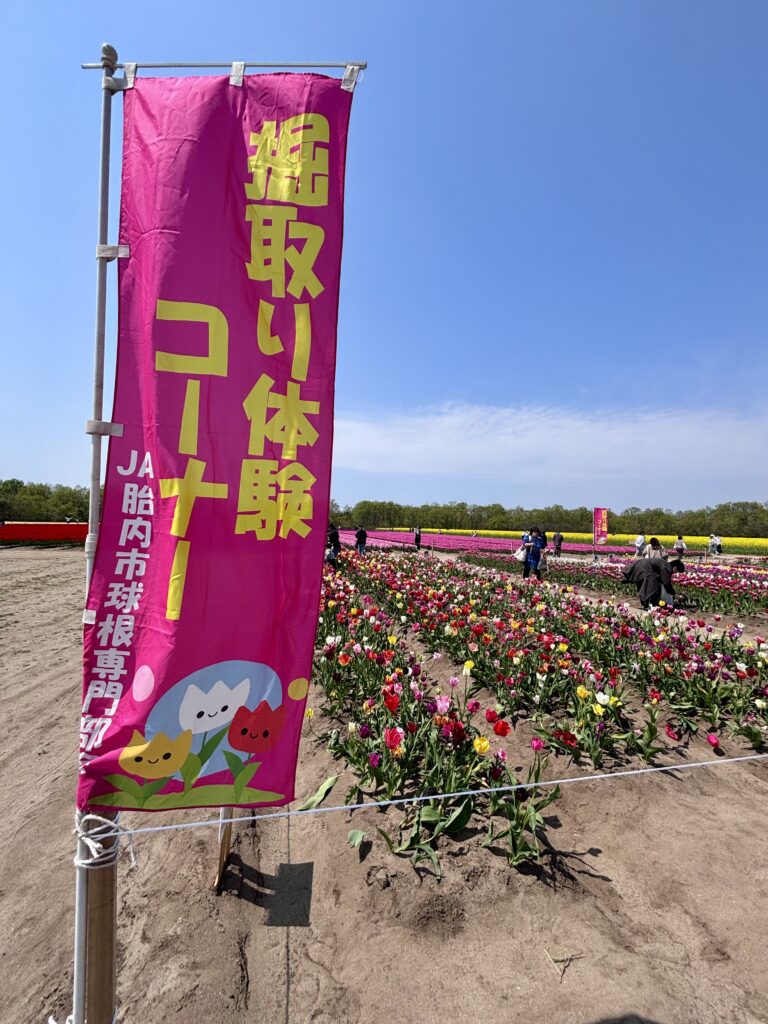 掘取り体験コーナー