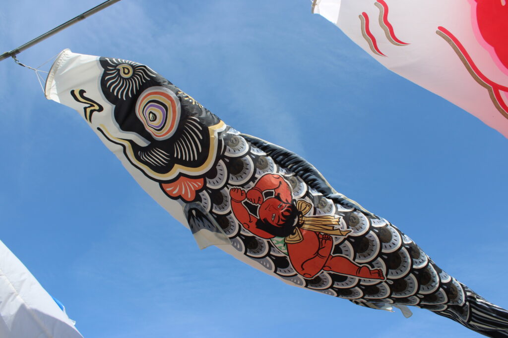下から見る鯉のぼり