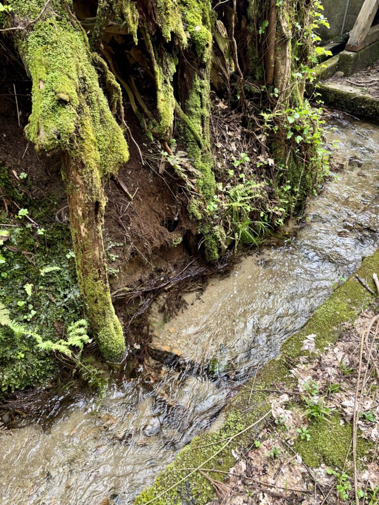 透き通った水