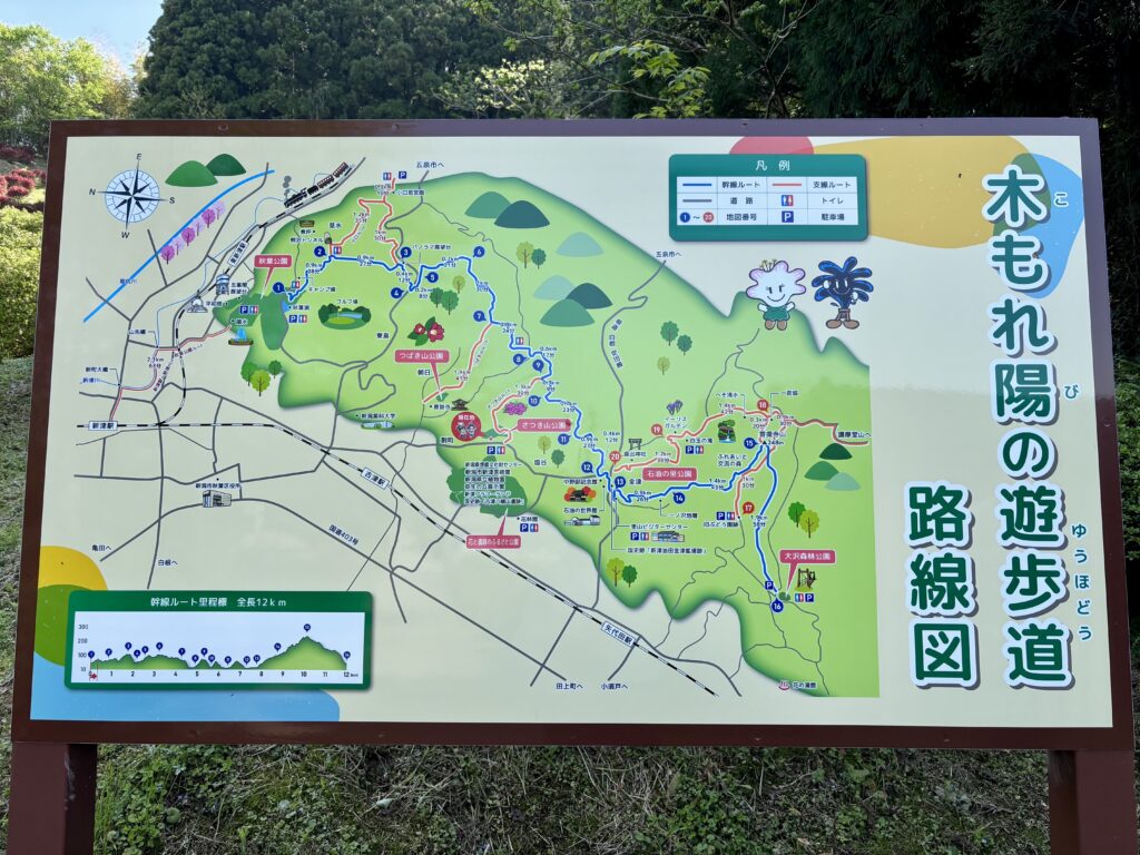 木もれ陽の遊歩道路線図