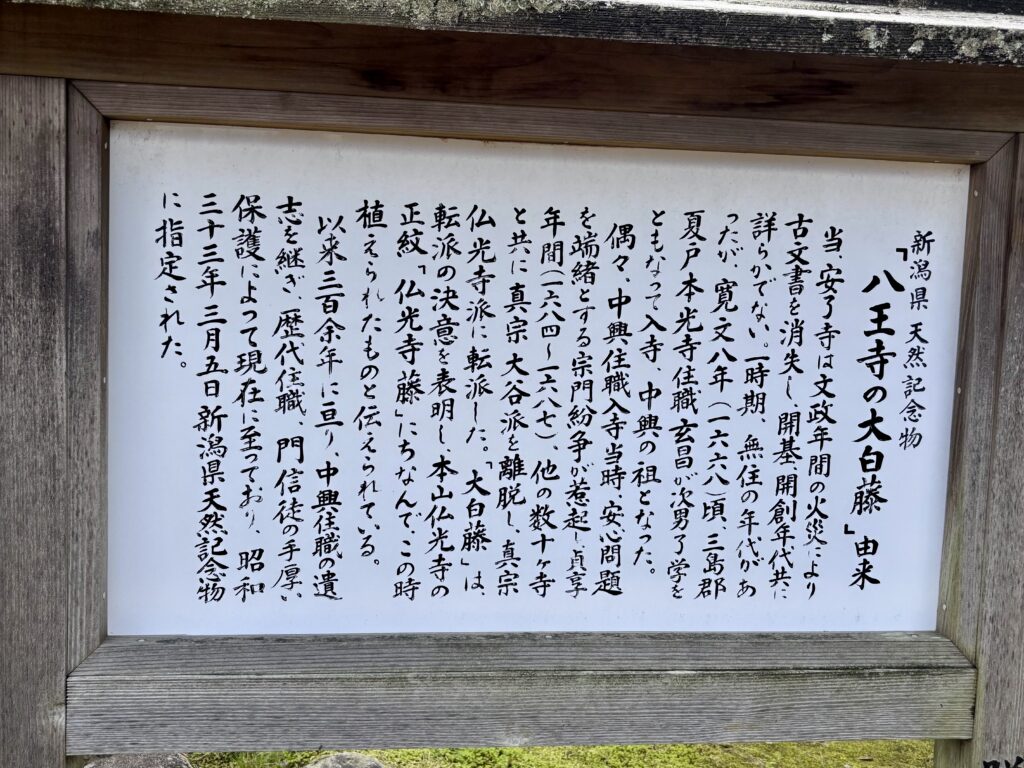 「八王寺の大白藤」由来の看板