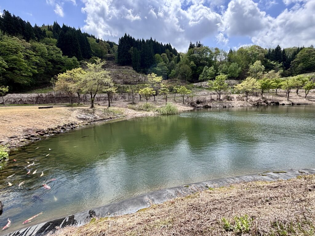 大きな池