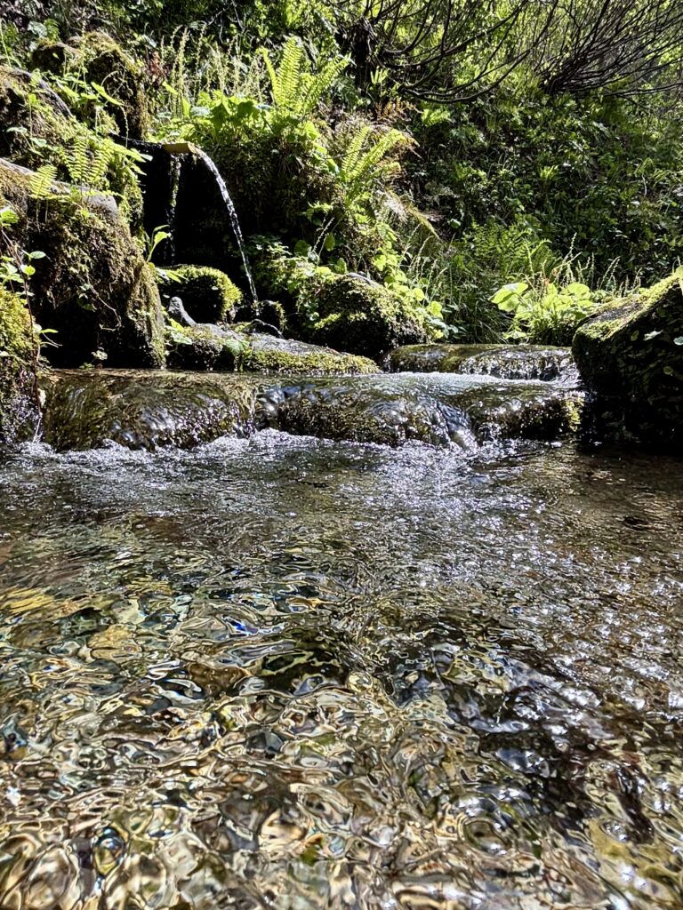 杜々の森湧水