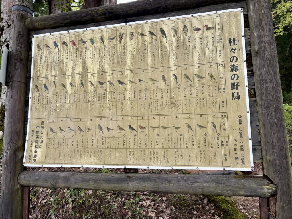 杜々の森の野鳥の看板