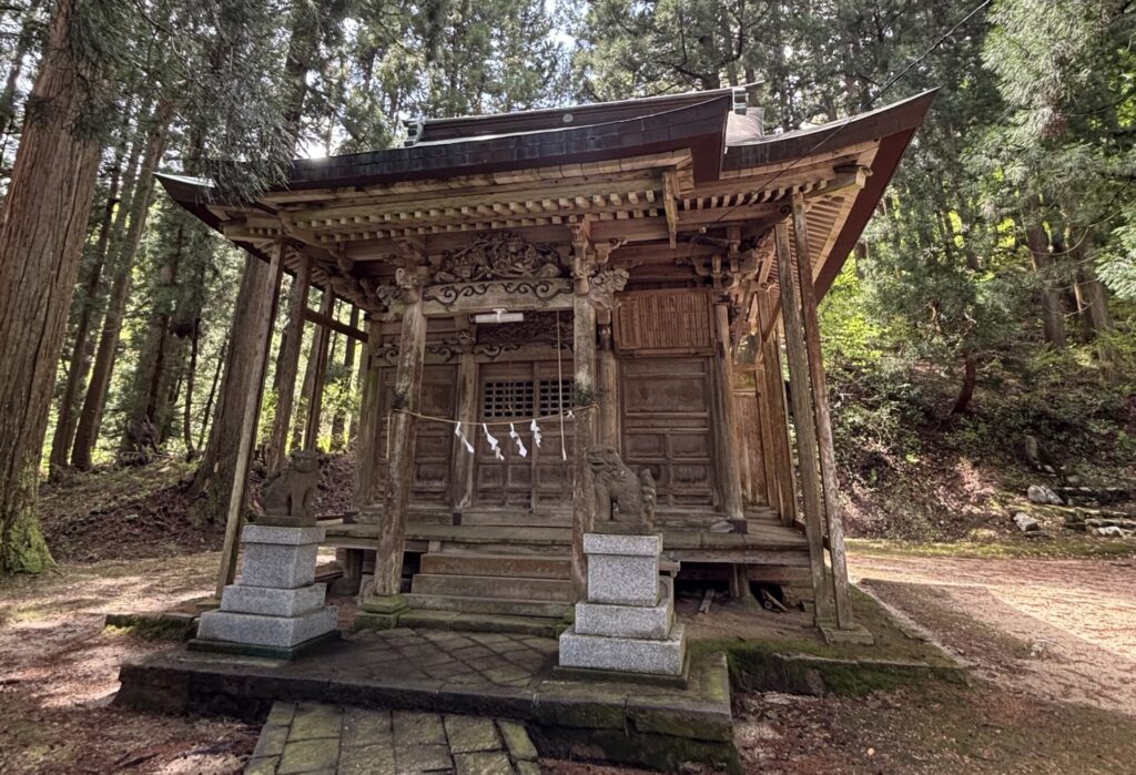 長岡市【南部神社】全国的にも珍しい狛猫のいる神社！？