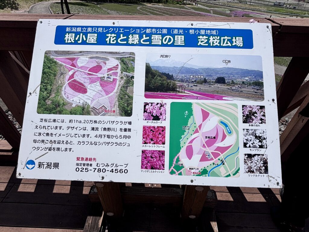 芝桜広場のマップ