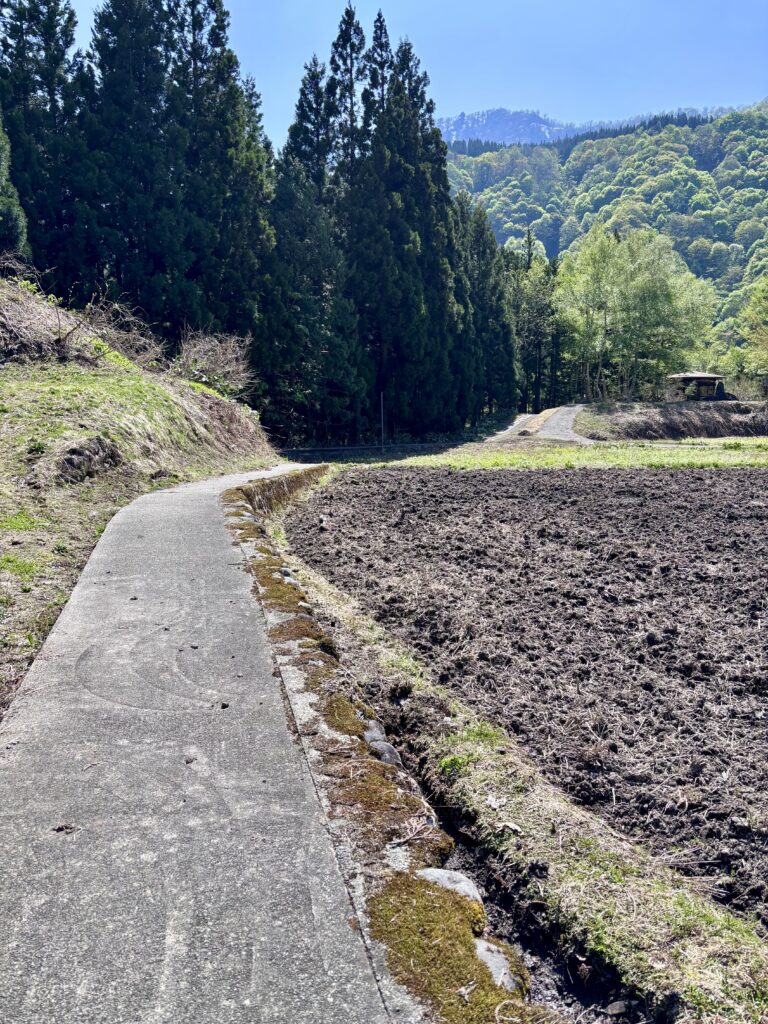 歩道1