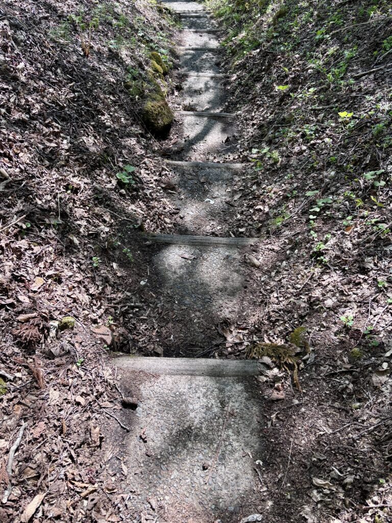歩道2