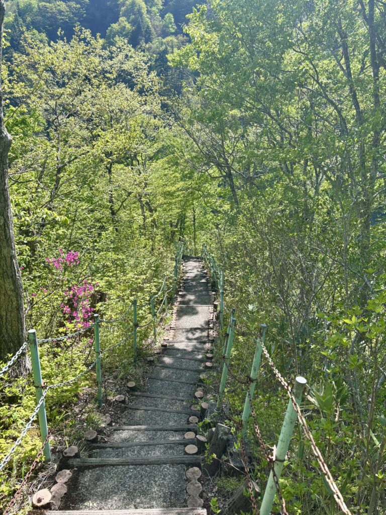 歩道3