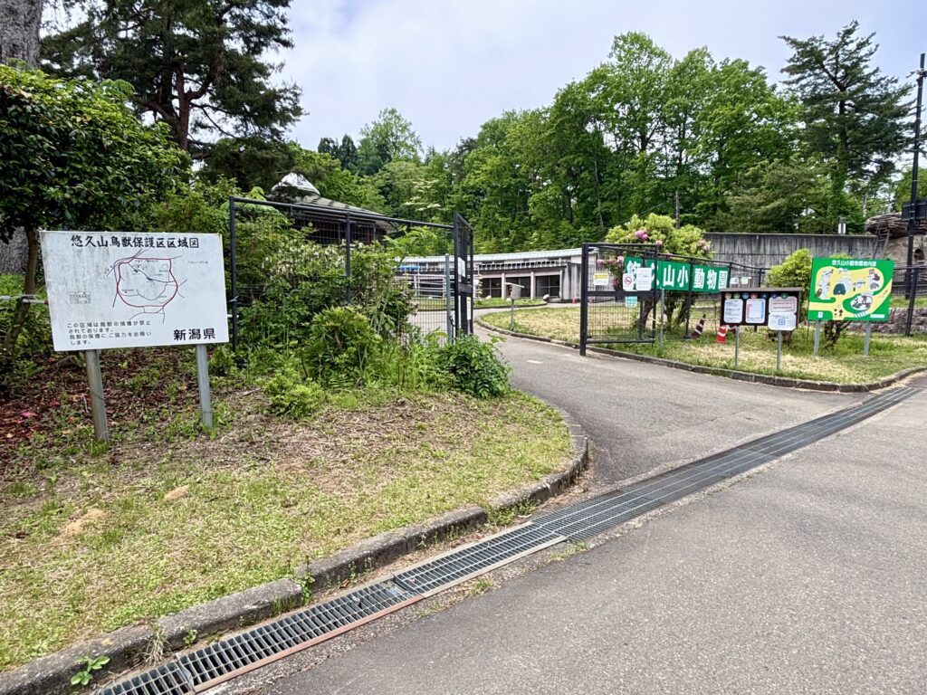 入口
