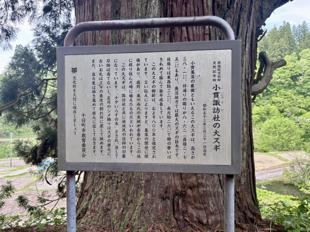 説明看板