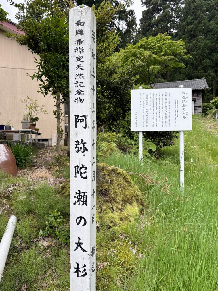 杭看板