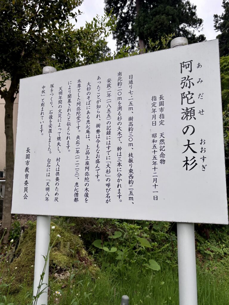 説明看板
