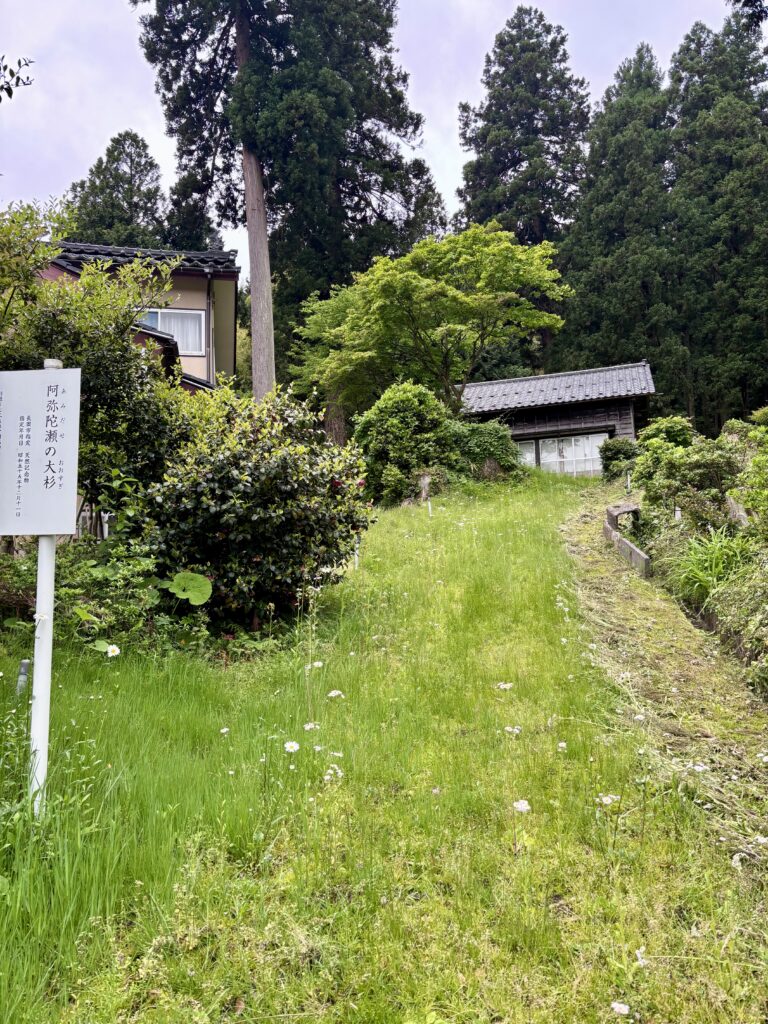 順路1