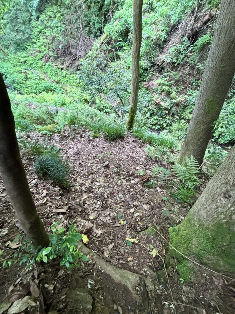 坂のようになっている部分