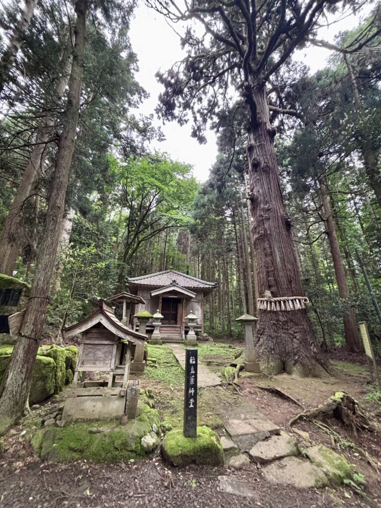 稲島薬師堂
