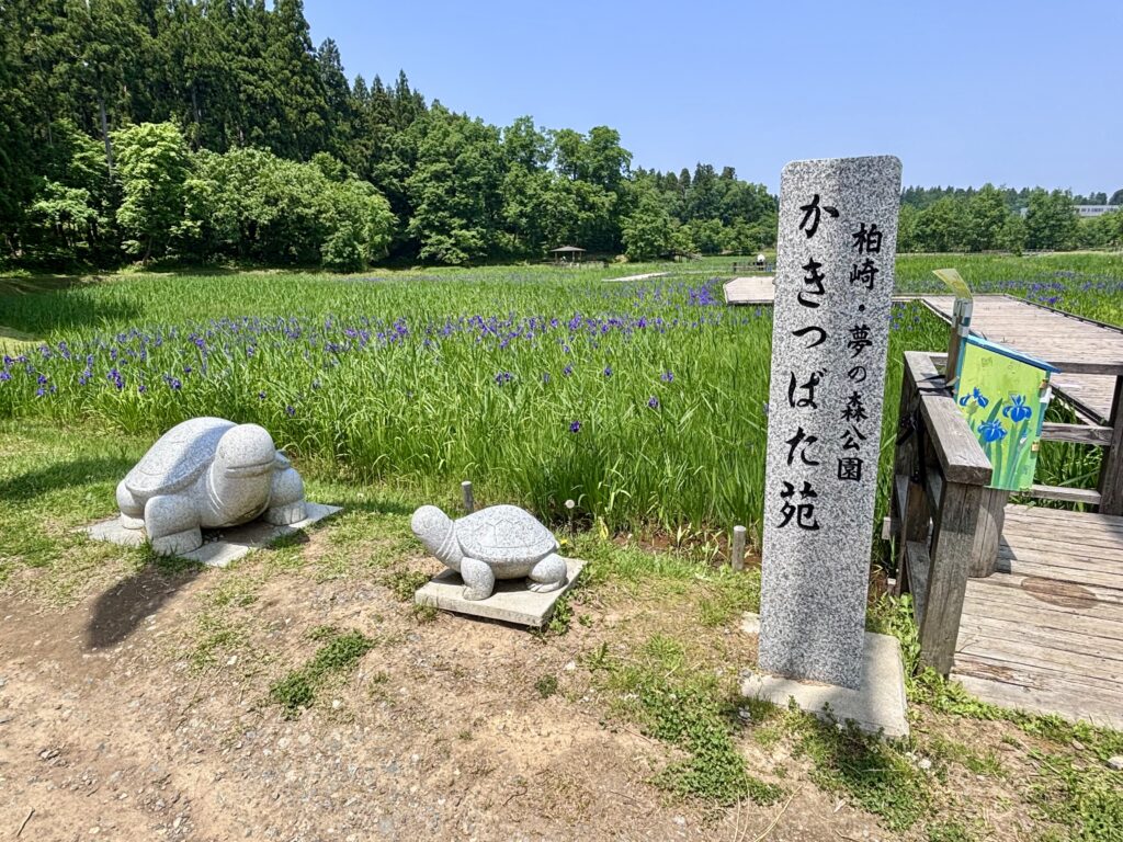 かきつばた苑の入口1